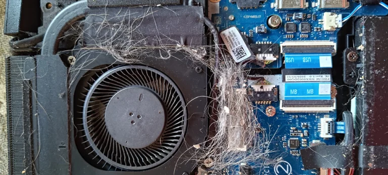 Mat of hair-like fibres beside Acer Nitro 5 blower fan