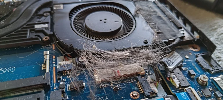 Lint clump and fine fibres next to Acer Nitro 5 cooling fan