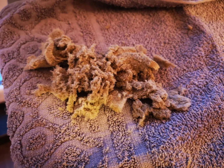 Clumps of lint and dust collected during gaming PC cleaning