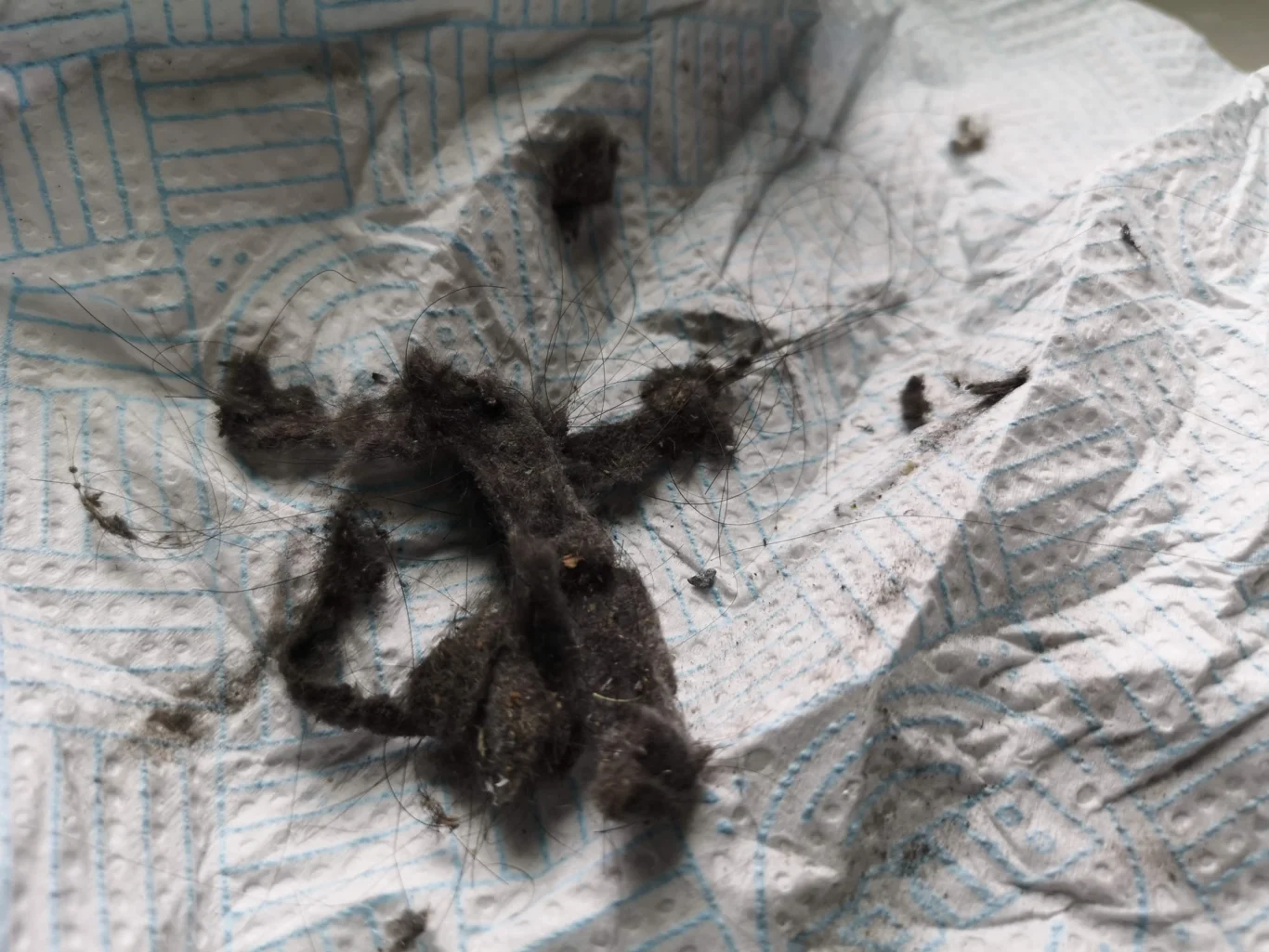 Fibrous dust clumps removed from Acer Predator Helios 300 laptop