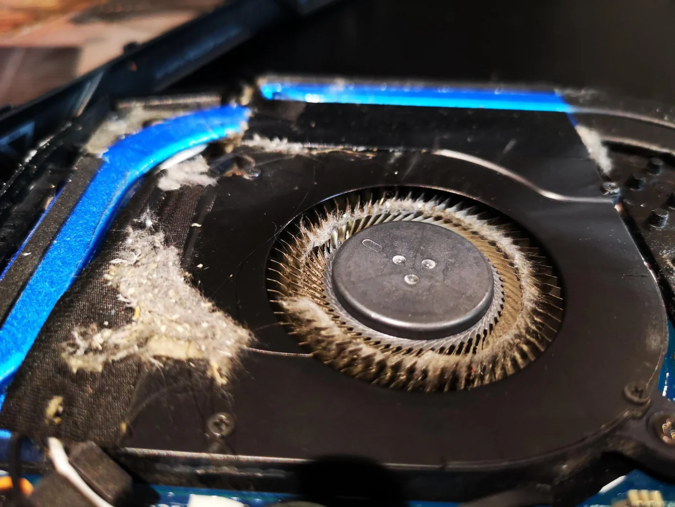 Thick lint around fan inlet of Acer Predator Helios 300