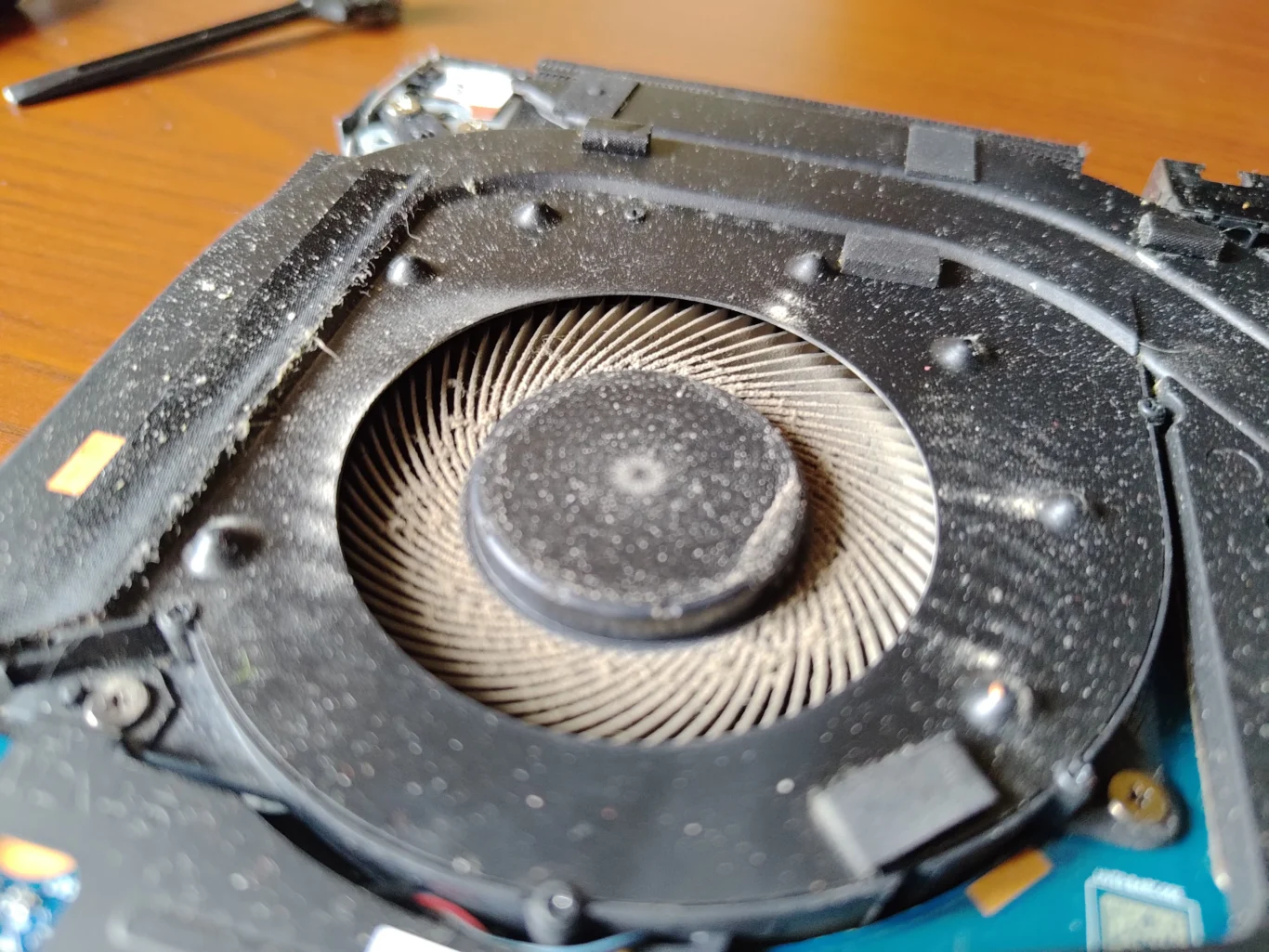 Close detail of pale dust on Legion 5 Pro cooling fan blades