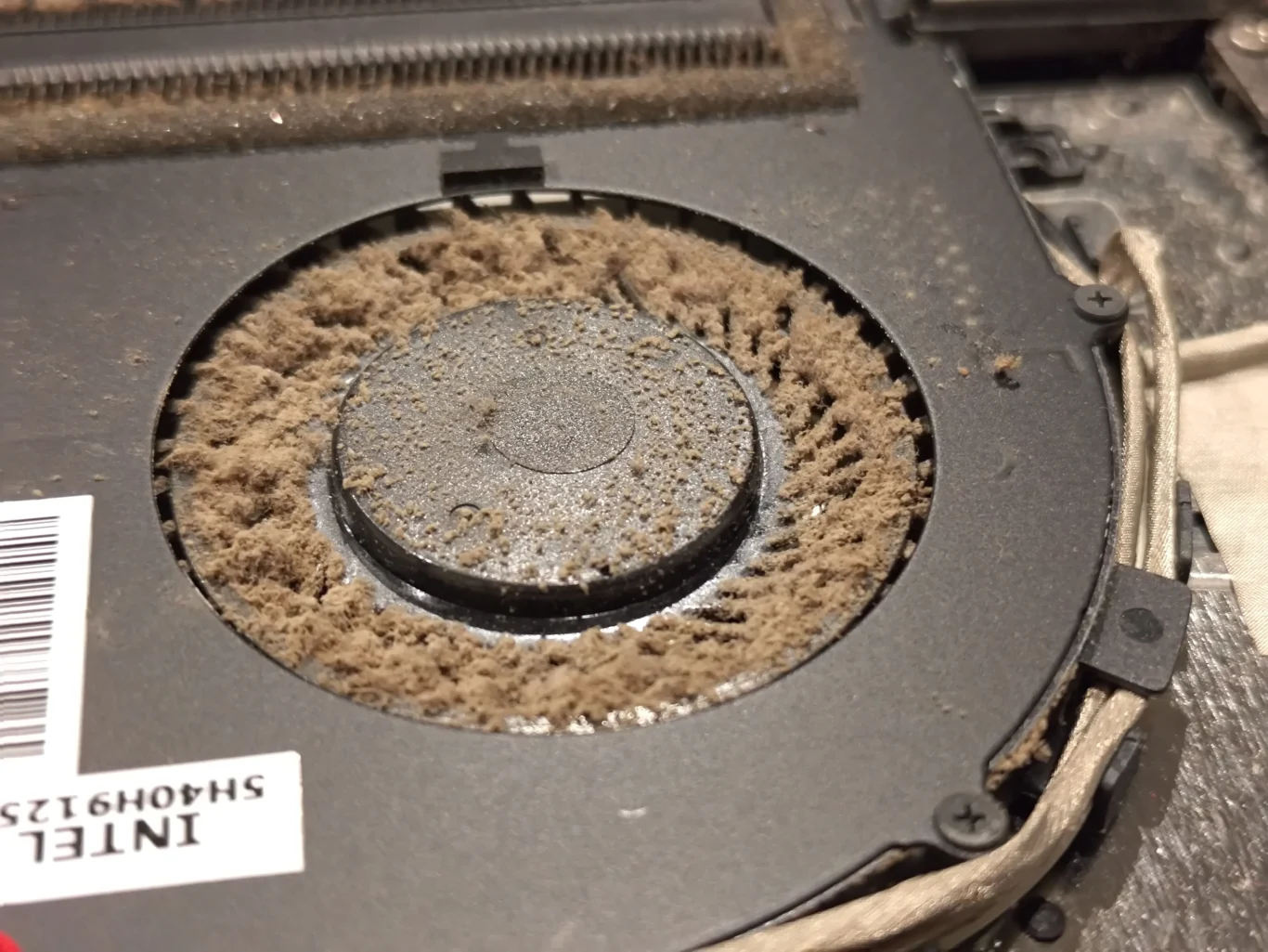 Close-up of felt-like dust buildup around Lenovo laptop fan hub and impeller blades