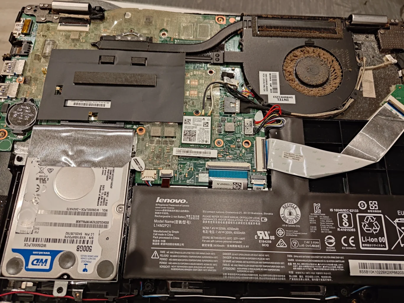 Opened Lenovo laptop showing hard drive bay, battery and dusty cooling fan