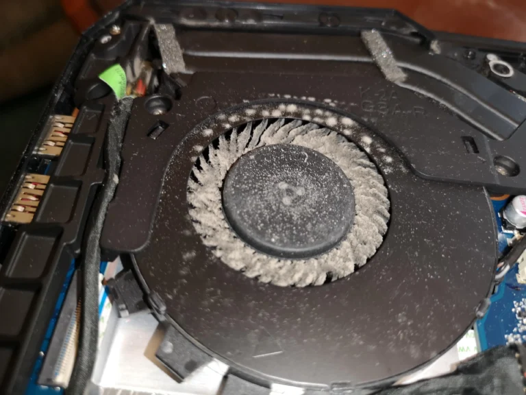 Heavy dust on the curved blades and hub of one Razer laptop fan