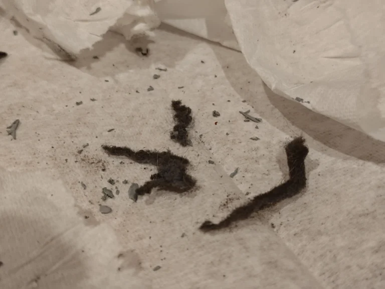 Dust and lint removed from the ROG Zephyrus GU502G cooling system